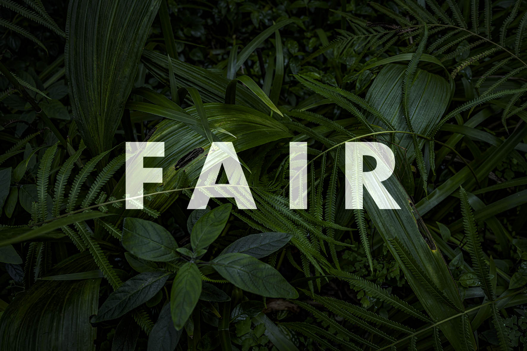 Warum wir auf "Made in Germany" setzen